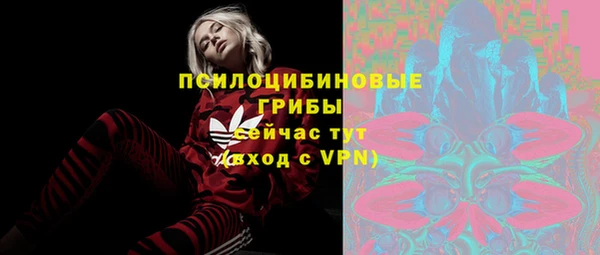2c-b Алексин