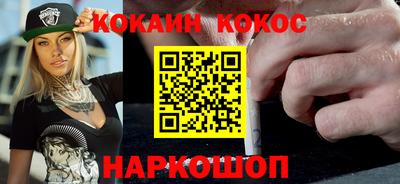 шишки Кандалакша