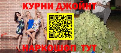 шишки Кандалакша