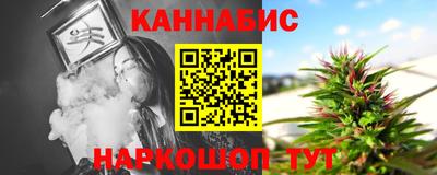 шишки Кандалакша