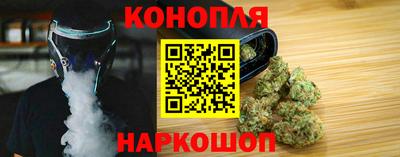 шишки Кандалакша
