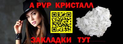шишки Кандалакша