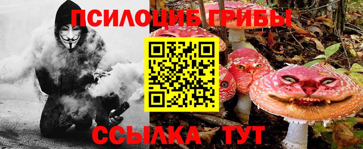 Псилоцибиновые грибы мицелий Губкин