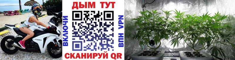 Каннабис AK-47  как найти   Губкин 